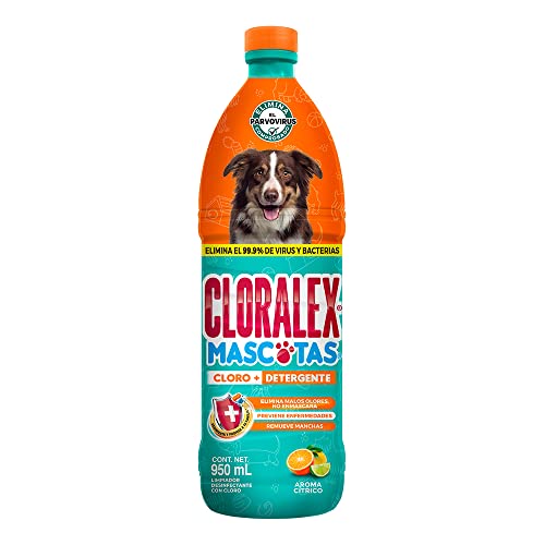 Cloralex Mascotas - Limpiador Desinfectante de Áreas, Con Cloro + Detergente, Aroma Citrico, 950 ml, paquete de 1