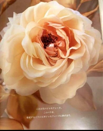 著者竹林えつ子の出品です 美品 『花、夢色に染めて 』 定価4180円(税込み) 染色創花 写真集 布花アート アートフラワー 染め花 [2]