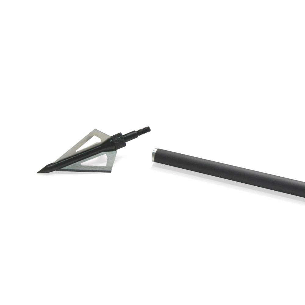 Pointes de Flèches 100 Grain Broadheads Tir à l'arc Conseils avec Boîte Chasse