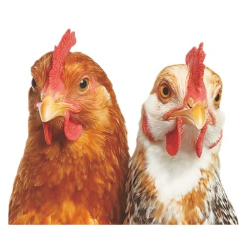 Vinilo decorativo adhesivo con diseño de gallinas