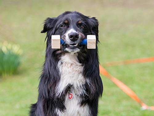 NATIV Obedience Set, Trainings-Set für Hunde, Agility-Set, Hundesport
