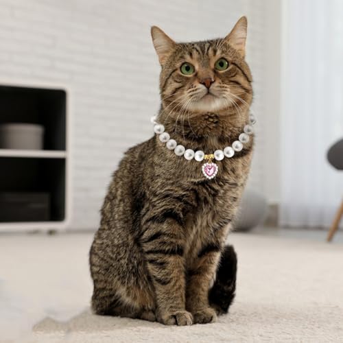 Qianyu 2 Stück Perlenhalsband für Katzen und Hunde Herzförmig Schmuck Haustier Halskette Verstellbarer Umhängegurt Ausgefallene Hochzeit Geburtstagsparty Haustier-Kleid Zubehör Halsband