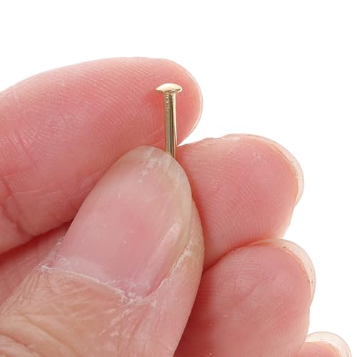GANAZONO Clavos de Cobre para Carpintería, Paquete de 2625 Unidades, Tamaño Pequeño para Colgar Cuadros y Decoración de Hogar miniatura 4