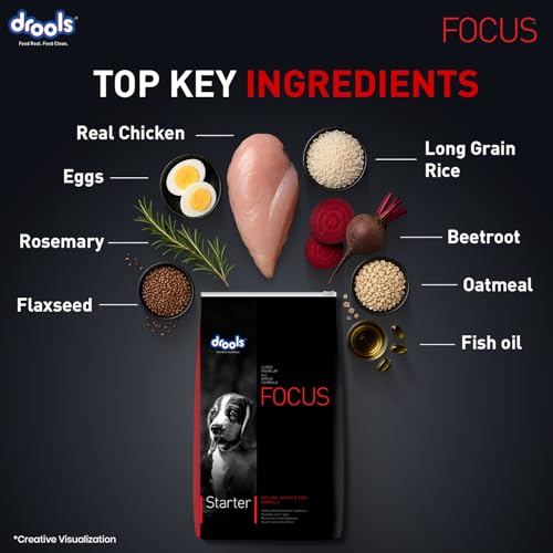 Image of Drools Focus Starter Super Premium Dry Dog Food 8kg Pack | Chicken Flavour | Supports Growth & Intelligence | Gut-Friendly Formula | Promotes Healthy Development