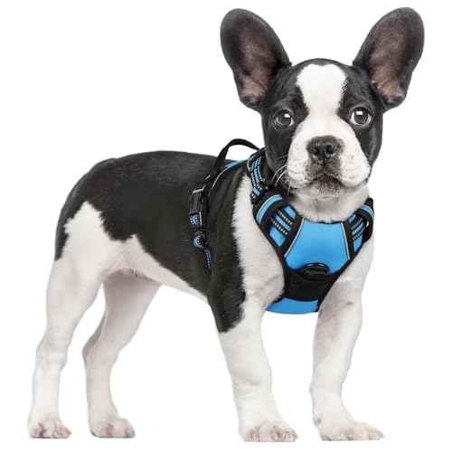Image of rabbitgoo Dog Harness No Pull with 2 Leash Clips, Adjustable Soft Padded, Reflective Oxford No Choke Pet Vest with Easy Control Handle for Small Dogs, Blue, S