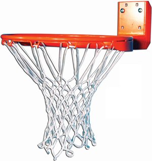 Institutional Rear Mount Fixed Goal with Nylon Net