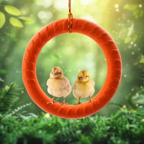 Brinquedo de balanço de galinha, brinquedo de plástico para pendurar 29 cm, acessórios para galinhas