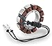 Cycle Electric Stator CE-8012