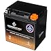 Chrome Battery YTX30L-BS High Performance - Maintenance Free - Sealed AGM Motorcycle Battery