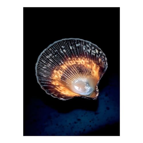 Broderie diamant coquillage phosphorescent 30x40cm art créatif adulte débutant
