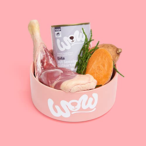 Hundefutter für Senioren mit Ente 6x400g – Getreidefreies Nassfutter