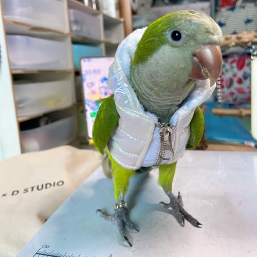 Fantasia de aniversário de festa de Natal de pano de pássaro para papagaio, Halloween, animais de es