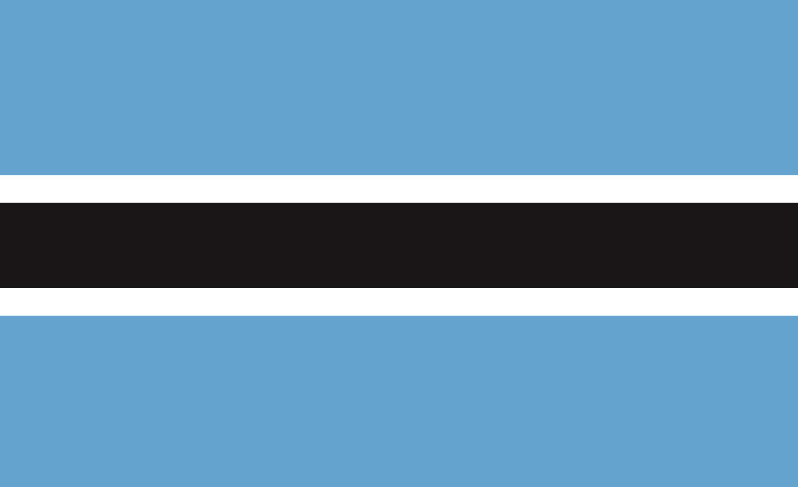 Drapeau du Botswana 150x90 cm grand format en tissu résistant pour extérieur