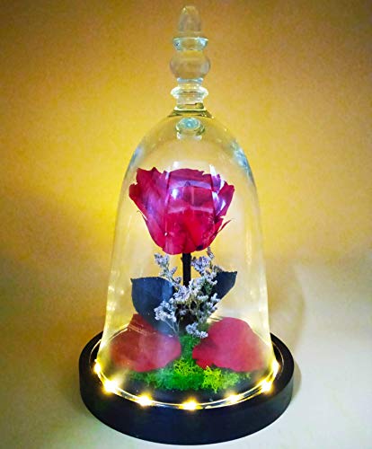 Cúpula con luz LED. Rosa eterna roja. Cúpula Bella y Bestia. Altura 30 cm. Rosa roja eterna. Flores preservadas. Hecho en España Cover