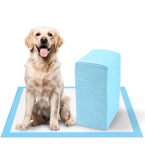 60 Empapadores Perros, Almohadillas de adiestramiento de Perros y Cachorros, Alfombrillas Higiénica Desechables para Mascotas, Almohadillas absorbentes, Resistente a Prueba de Fugas