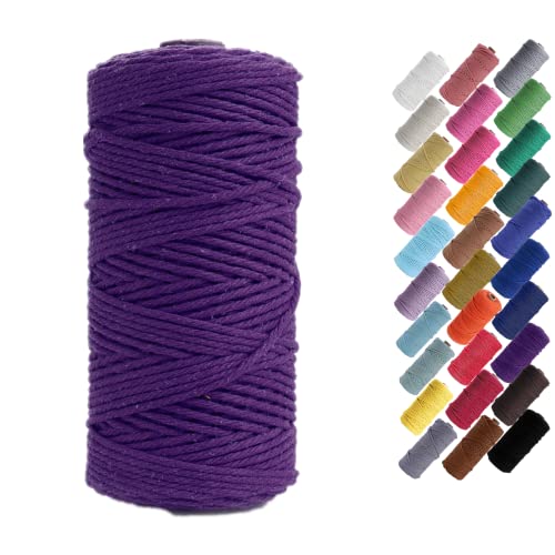 Binwat Corde en macramé natuel en coton pour loisirs créatifs ficelle rustique en coton accrocher au mur cintres plantes travaux manuels tricot décoratifs 3 mm x 100 m (violet)