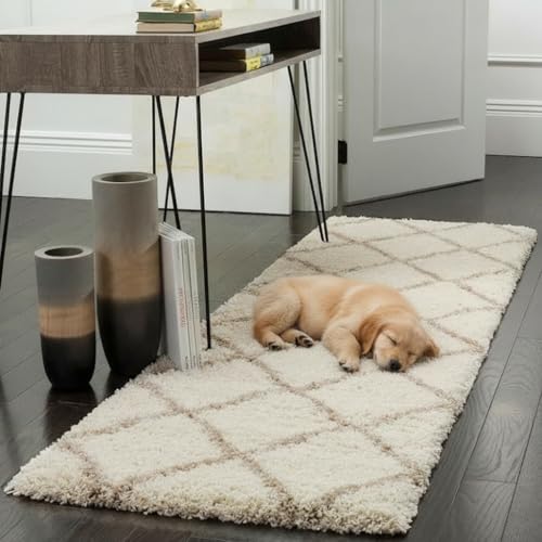 Image of Fluffy Silky Micro Fiber Polyster Carpet /Runner for Bedroom, Study Room, Playing Room, Guest Room ETC. 2x4 Feet, (P-15)