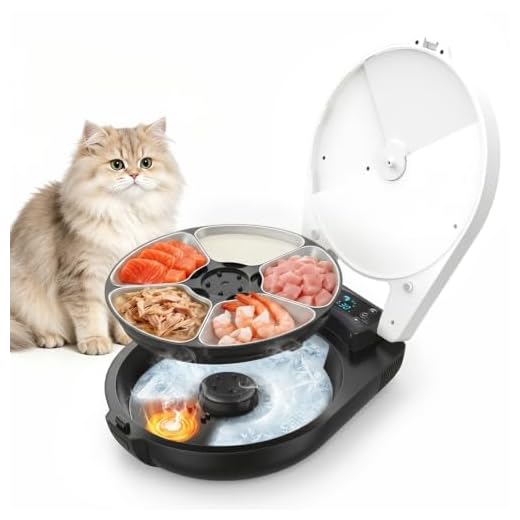 Automatischer Futterautomat für Katzen