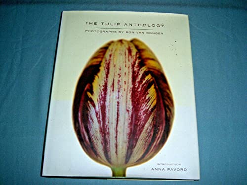 Preisvergleich Produktbild Tulip Anthology