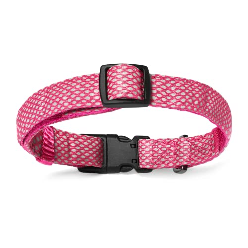 Embark Illuminate Reflective Dog Collar For Medium Dogs–Adjustable Padded Dog Collars With Buckle Made With Nylon Reflective Material To Make Your Dog Collar Visible At Night –Medium Dog Collar (Pink) #TOP1