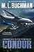 Condor: an NTSB / military technothriller (Miranda Chase)