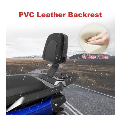 Soutien dossier passager ergonomique avec plaques de support pour YW125