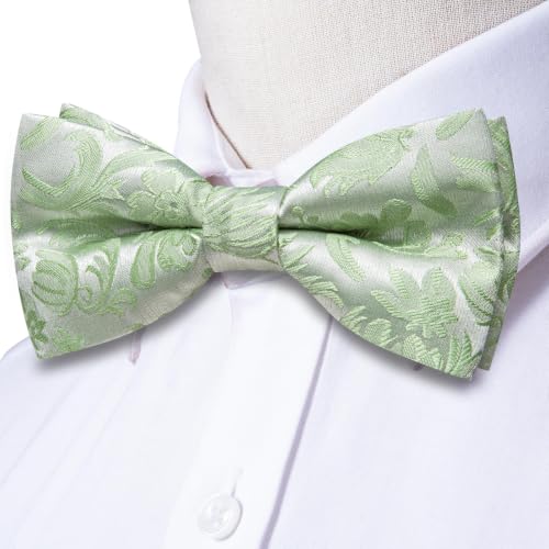 Image of Dubulle Mens Paisley Striped Bowtie Set Pre-tied Bowtie for Men and Pocket Square Set Wedding Business