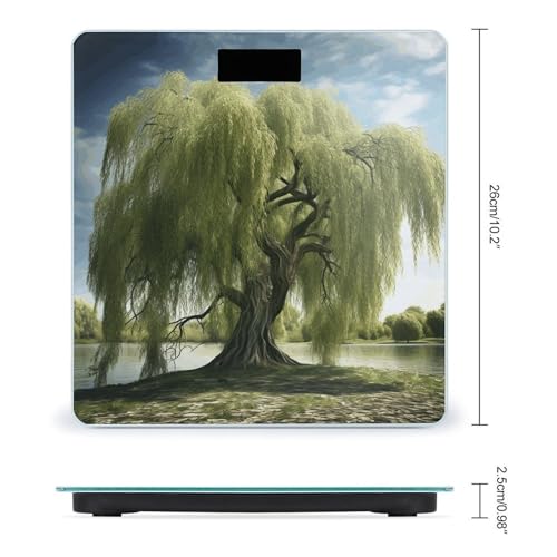 Báscula digital para baño con vidrio templado 400lb miniatura 2