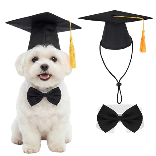 Set de birrete y corbatín para mascotas pequeñas y medianas