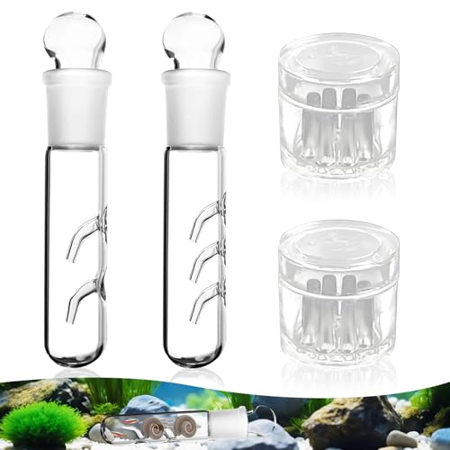 4 Stück Planarienfalle Schneckenfalle Aquarium,2 Loch 3 Loch Klarglas Glas Planaria Trap,Planarienfalle Effizient,für Fisch Tank Aquarium,Schnecken, Blutegeln im Aquarium
