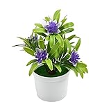KSFBHC Bonsai-Desktop-Pflanzen Topfpflanzen Künstliche Blumen Dekore Dekoration Ornament Zuhause (Color : Purple)