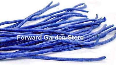 Amazon 50個 袋ロング豆の種子野菜の種子インゲンマメ尋常性種子 グリーンビーンズ 自然な成長 ホームガーデンの種 2 果物