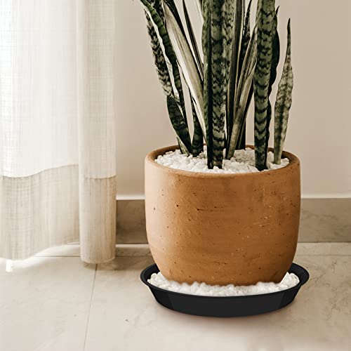 Dunpute 6 Pack Plant Saucer 12 14 16 18 20 Inch Plastic Plant Tray, Sturdy And Durable Flower Pot Containers Plant Pot Saucers For Indoor And Outdoor (18 Inch, Black) #TOP6
