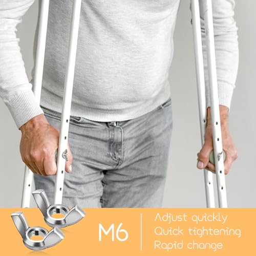 Flügelmutter M6, 30 Stück 304 Edelstahl Schmetterlingsmutter Flügelmuttern Metrische Flügelschrauben Silber Wing Nut für DIY Tools Elektronische Geräte Hardware