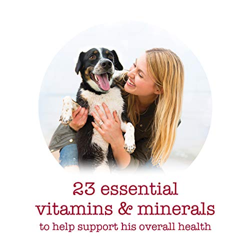 Purina Beneful Wet Dog Food Variety Pack, Medleys Tuscan, Romana