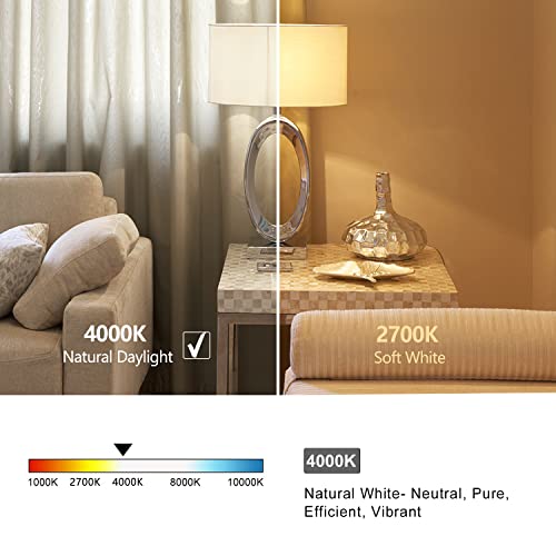 G25 Led Globe Edison Filament Edison Light Bulbs,Vintage Dimmable Led Filament Light Bulb E26, 6W Equivalent To 60W,Neutral White 4000K, G25 Glass Edison Style For Bathroom Makeup Mirror 6 Pack #TOP3