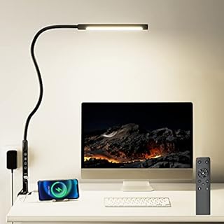 LED Desk Lamp Clamp with Charging Phone 2 USB Port Reading Light Eye-Care 6 Colors 6 Brightness Table Daylight 12W Timing Function Remote Touch Control Accessories Work Study Home Office ( Adapter )