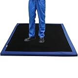 BESTXH Tapis DéSinfectant pour Semelles De Chaussures, Tapis D'EntréE en éPonge, Pailla...