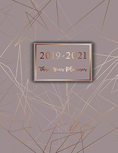 2019-2021 Three Year Planner: Three Year Calendar Planner, 36 Months Planner and Calendar, Monthly Calendar Planner, Cover 8.5 x 11 Inches, Personal ... 2021 (2019-2021 Monthly Planner, 3 Year)