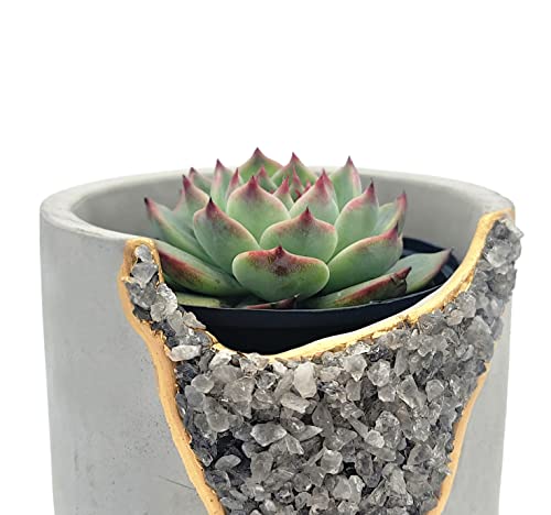 4 Inch Crystal Plant Pot With Saucer - Cement Geode Planter - Concrete Pots For Plants - Modern Succulent Pot Indoor - Unique Air Plant Holder - Candle Holder - Small Plant Home Decor (Smoky Quartz) #TOP3