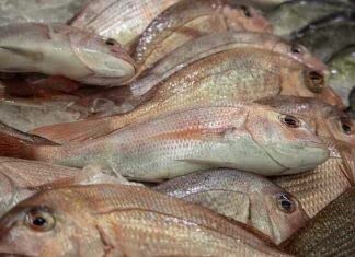 Top 10 đặc sản Thanh H&oacute;a kh&ocirc;ng thể bỏ lỡ