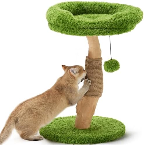 Cat Scratching Post, 20″ Plant Style Kitten Scratcher, FUKUMARU Solid Wood Cat Post with Bed, Small Cat Tower Tree with Natural Jute Rope for Indoor Kitten & Cats