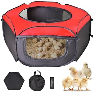 Brooder Box for Chick Starter Kit – Brooder Pen/Chicken Supplies Brooder Box with Ideal Size Brooding Up to 15 Chick, Duck and Quail(Red)