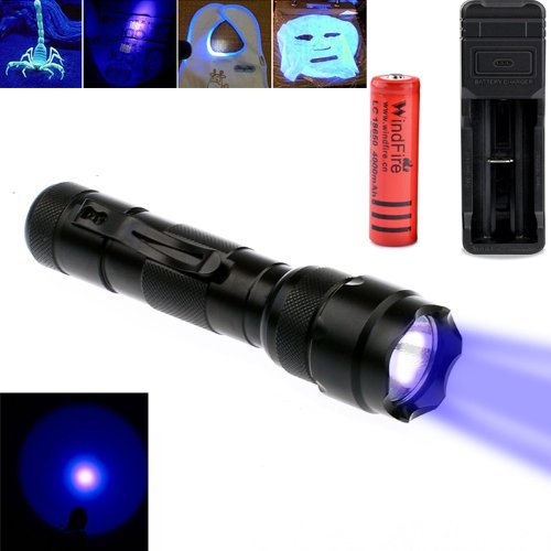 Buy WindFire UVUltraviolet Led Blacklight Torch Rechargeable UV Ultraviolet Black Light