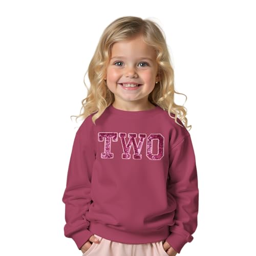 Baby Mädchen Geburtstag Sweatshirt Schwester Kinder Outfits Glitzer Stickerei Pullover 2-9 Jahre Geburtstagparty Kostüm Autumn Langarm Babykleidung Rundhals Langarmshirt(Dunkelrosa,2 Jahre)
