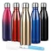 Sfee 17oz Double Wall Vacuum Insulated Stainless Steel Water Bottle Cup - Perfect for Outdoor Sports Camping Hiking Cycling +a Cleaning Brush (Champagne)