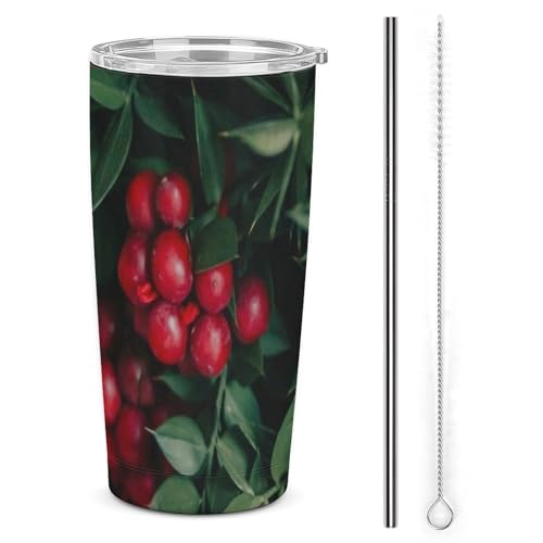 }OJbv t[cAԁAXgCvAgA킢ʐ^ RrjJbv ^fM W/Xg[t XeX{g X|[cΉ ۉ ۗ RȂ 600ml   ItBX AEghAp jp