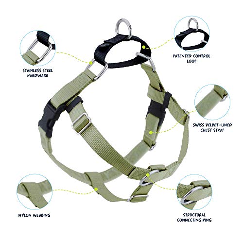 2 Hounds Design Freedom No Pull Dog Harness | Adjustable Gentle Comfortable Control For Easy Dog Walking |For Small Medium And Large Dogs | Made In Usa | Leash Included | 1" Md Tan #TOP1