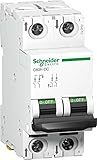 Schneider Solar 20A 2 Pole DC PVC MCB (White)