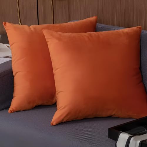 Kit 2 Capas de Almofada 45x45 Suede Liso Aveludado Premium com Zí...